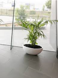 Large Indoor Plant Pots Indoor Office