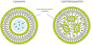 lipid nanoparticles lnp exelead