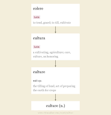 Culture Origin And Meaning Of Culture By Online Etymology Dictionary