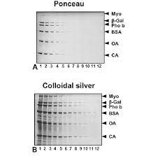 ponceau s and colloidal silver
