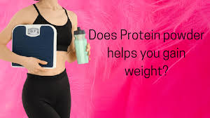 protein powder for weight gain