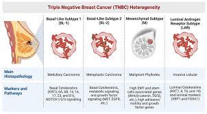 Cancers | Free Full-Text | Challenges for Triple Negative Breast Cancer  Treatment: Defeating Heterogeneity and Cancer Stemness