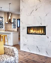 7 Fpx Clean Face Fireplaces Ideas Gas