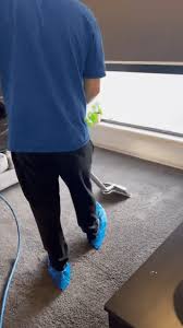 hire a carpet cleaner from woolworths