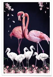 Flamingo Family Poster Juniqe