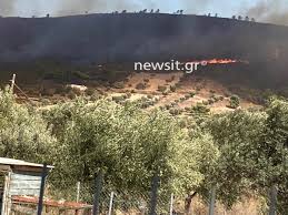 Κάηκαν σπίτια στον δήμο λαυρεωτικής . Vcnri7gmd9lpnm