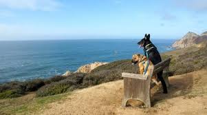 Image result for Pacifica, CA picture