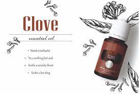 ways to use clove essential oil