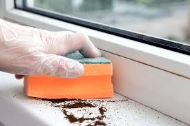 how to clean mold from window sill in 5