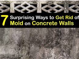 tricks to remove mold from block walls