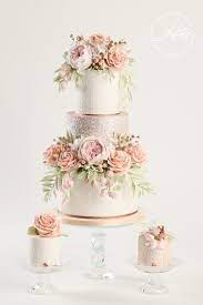 Hayley Elizabeth Cake Design gambar png