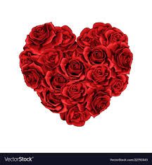 Valentines Day Red Roses Heart Filled Isolated