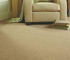 carpet ing solutions in bristol