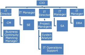 Organization Chart Of It Department At Fff Download