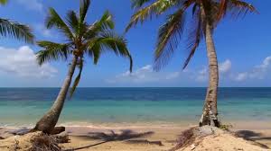 Resultado de imagem para Cachoeiras com pássaros