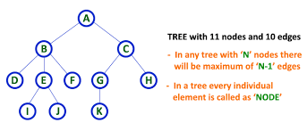 tree terminology