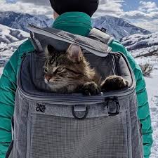 5 best cat backpacks of 2024 reviewed