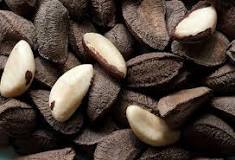 Why are Brazil nuts radioactive?