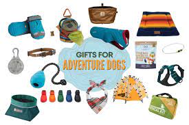 best hiking gifts for adventure dogs