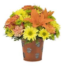 Potratz floral shop & greenhouses delivers flowers and gifts to the erie, pa area. Rose Floral Shop 5442 Peach St Erie Pa 16509 Yp Com