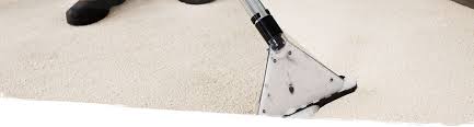 carpet cleaning commercial steam