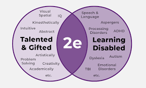 twice exceptional and special education