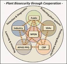 The National Plant Diagnostic Network Npdn In Concept And