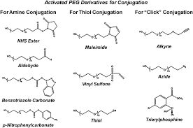 Pegylated Polymers For Medicine From Conjugation To Self Assembled