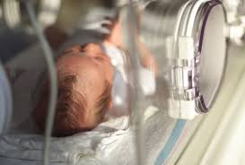 Premature Birth And Survival Statistics