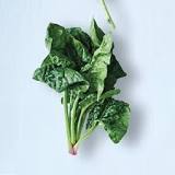What should I look for when buying spinach?