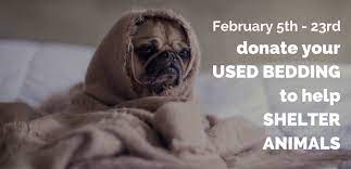 donate clean used bedding by february