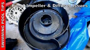Pump Impeller Diffuser Issues Pool Pump Not Priming Part 6