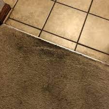 pugh s professional carpet cleaning