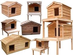 Dog House Diy Outdoor Cat House