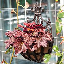 Wall Mounted Flower Basket Cast Iron