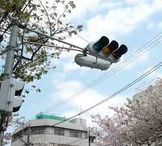 Traffic Light Days In Japan