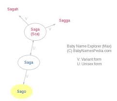 Sago Meaning Of Sago What Does Sago Mean