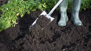 Soil Regeneration Gardener S Supply