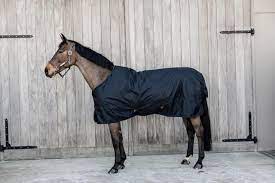 turnout rug all weather waterproof