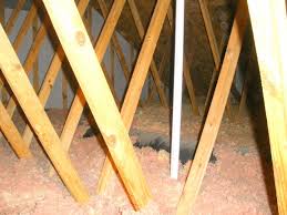 attic floor possible diy home