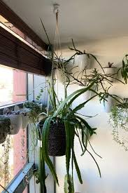 12 hacks to hang plants without