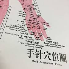 Chinese Medical Acupuncture Charts For Point Studying