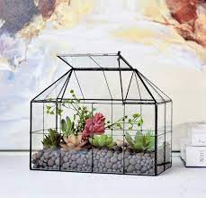 Large Glass Terrarium Containers With