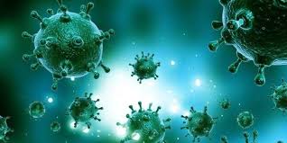 冠状病毒感染: 14个研究中使用干细胞| Clinic