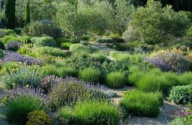 Jardines modernos realza tu jardín con un toque moderno. Jardines Privados Contemporaneos Jardin Mediterraneo Jardines Sin Fronteras