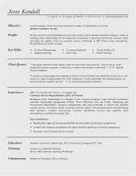 All you need to do is fill in your information. Executive Resume Template Doc Resume Resume Sample 10930