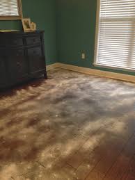 dog smell stains hardwood floors