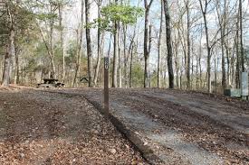 The campground facilities include a sanitary dump, flush toilets and showers. Site 127 Salt Lick Creek Recreation Gov