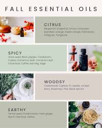 on guard essential oil diffuser blends