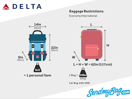 Delta Carry On Luggage gambar png